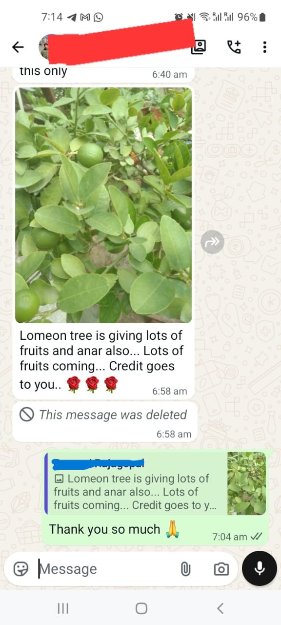 Remani Bangalore-ൽ നിന്നുള്ള WhatsApp message: നാരകത്തിൽ ധാരാളം കായ്കൾ